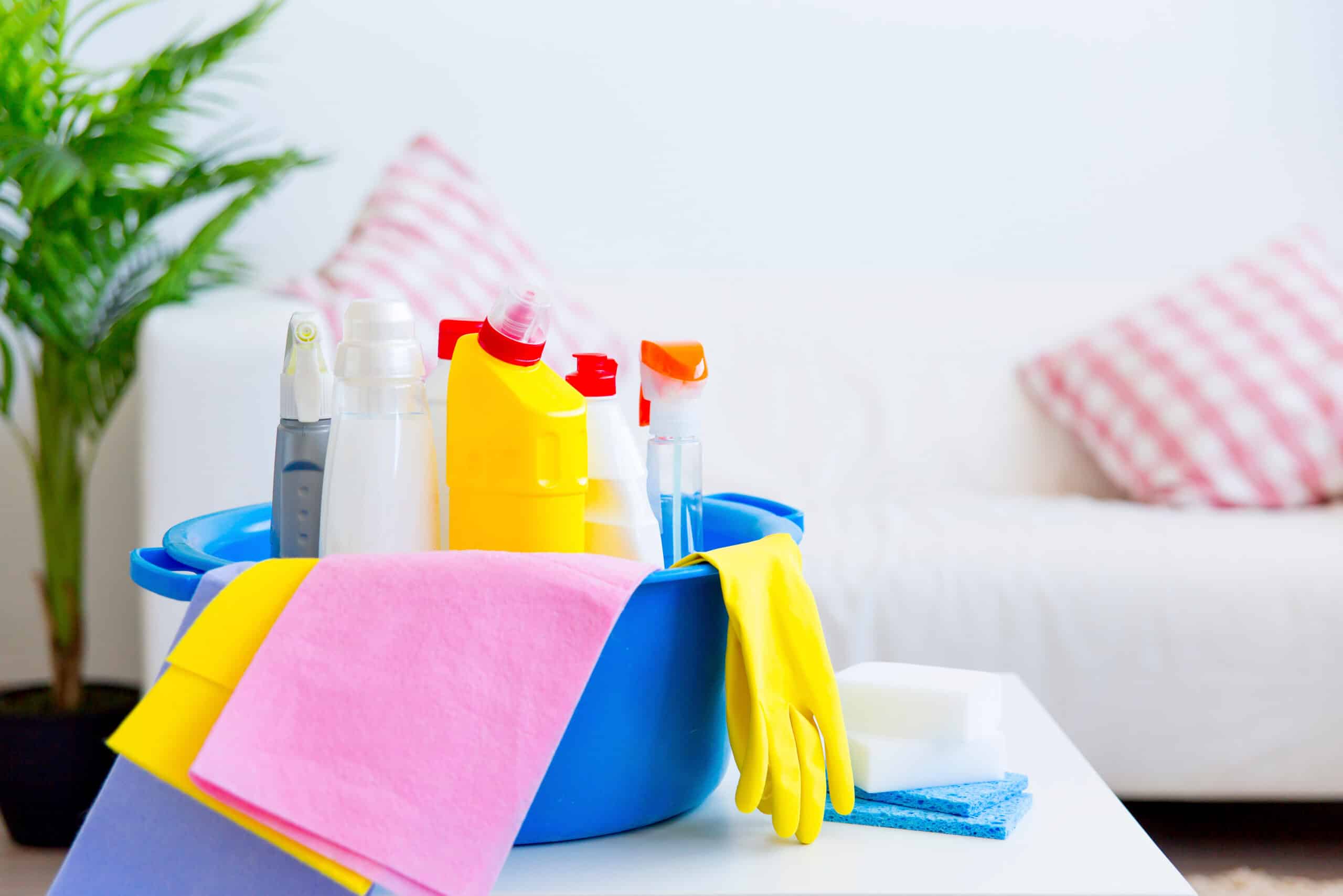 Professional House Cleaning