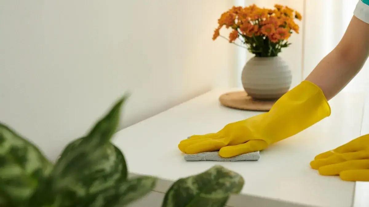 Overlooked Areas in Spring Cleaning by Cali Maids, cleaning a white surface in a bright home