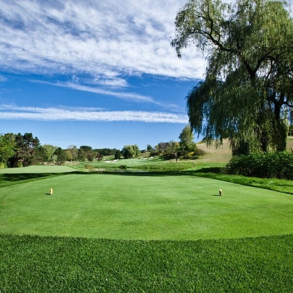 Professional cleaning services in Lawndale, CA. Spend a day at the golf course.